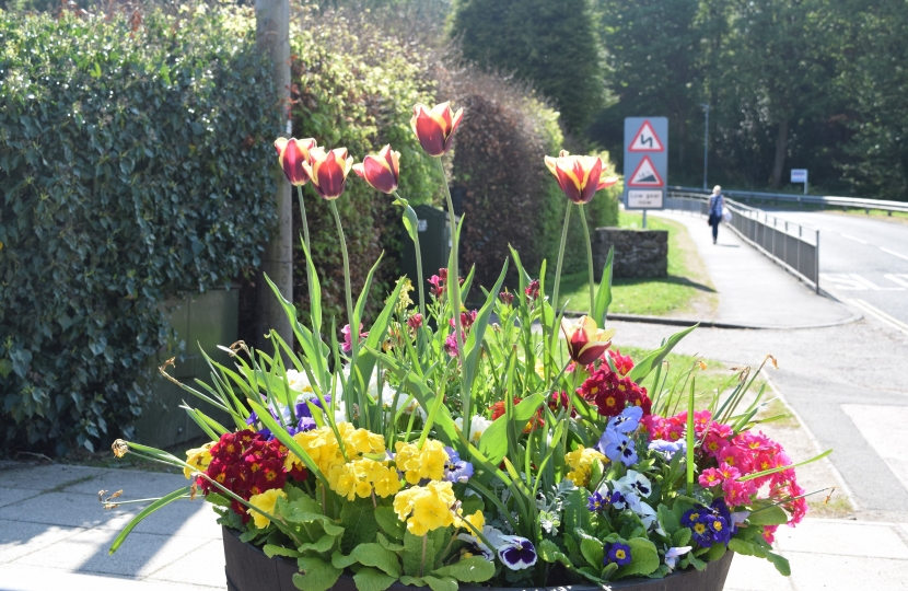 Morpeth flowers