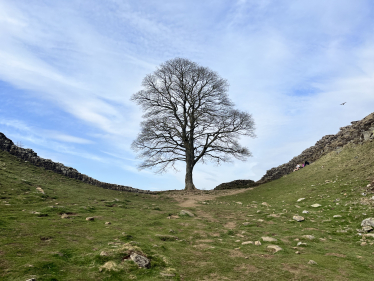 Sycamore Gap